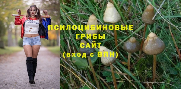 каннабис Богородицк